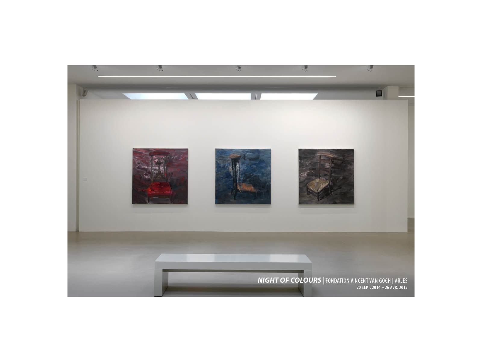 2014_night-of-coulor_fvvg_arles