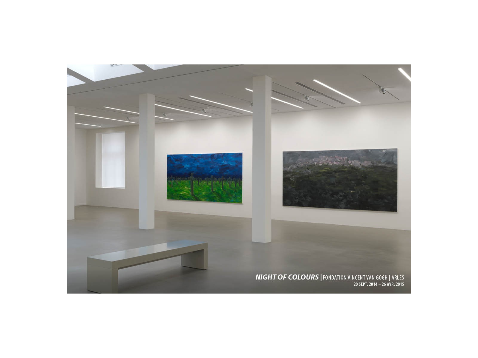 2014_night-of-coulor_fvvg_arles