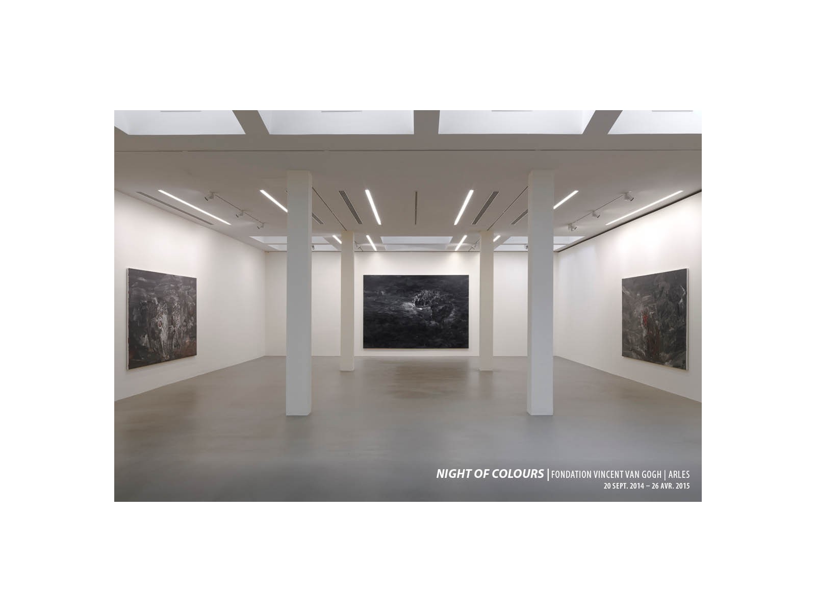 2014_night-of-coulor_fvvg_arles