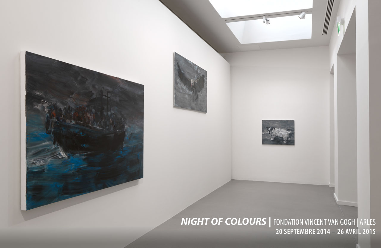 2014_night-of-coulor_fvvg_arles